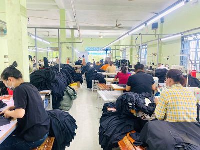 lĩnh vực hoạt động