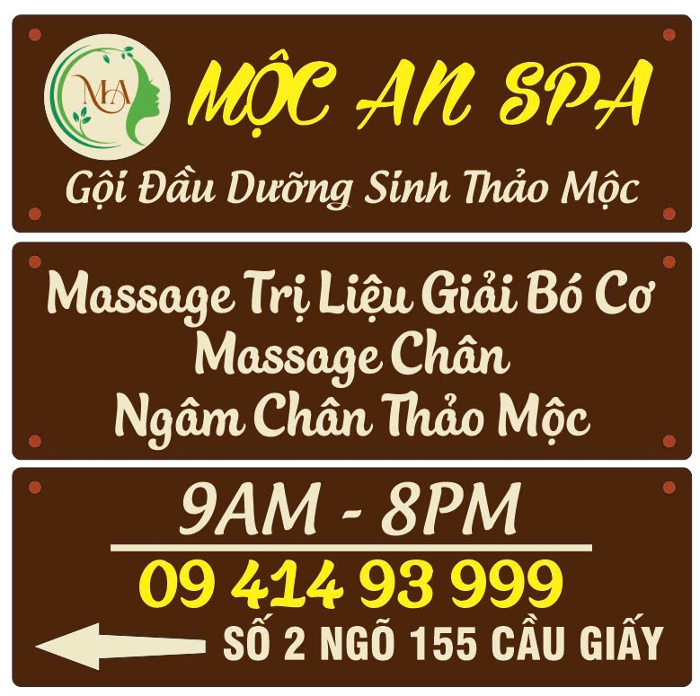 lĩnh vực hoạt động