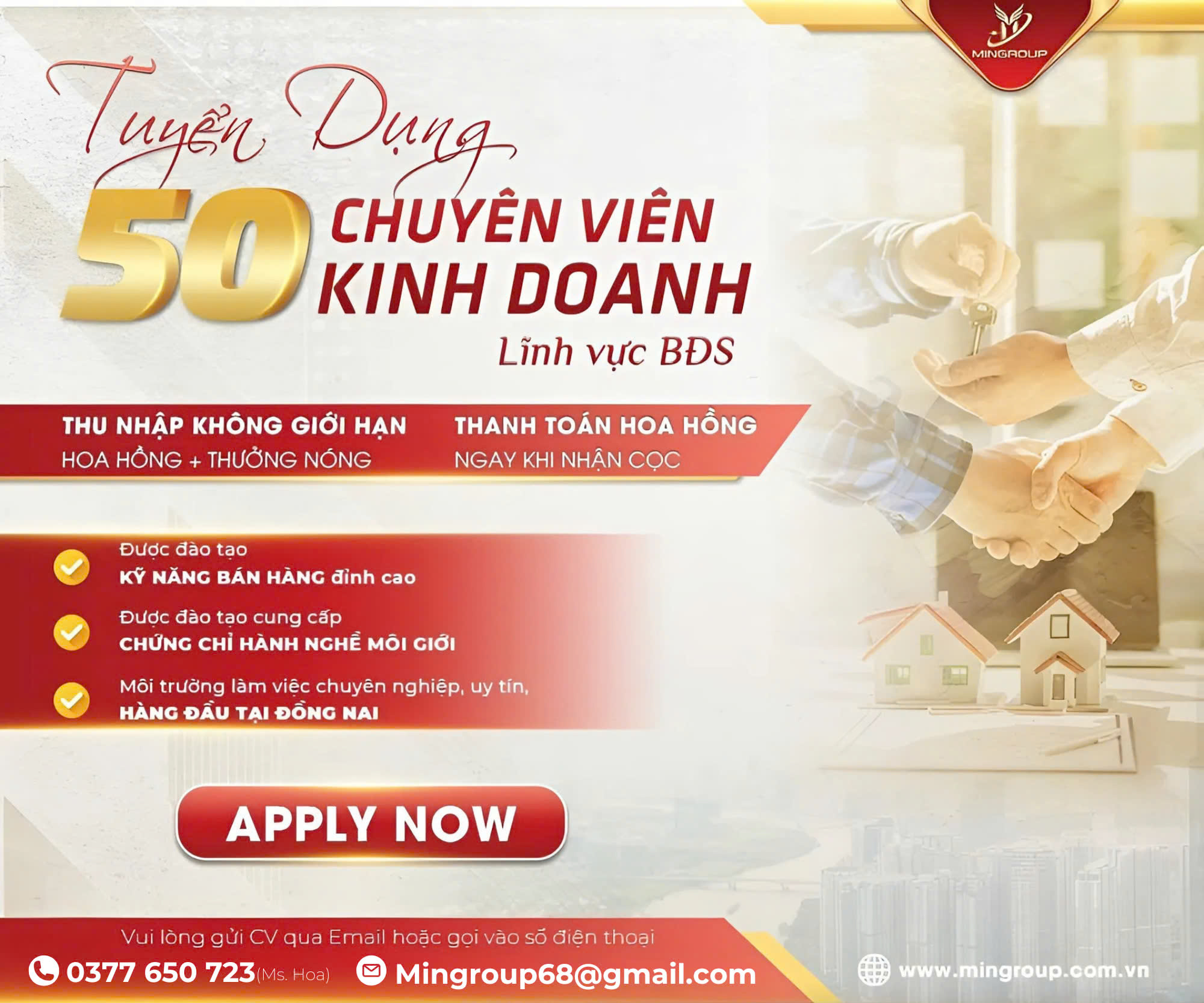 lĩnh vực hoạt động