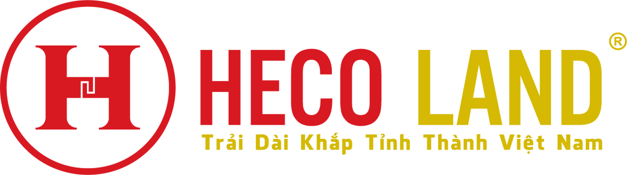 lĩnh vực hoạt động