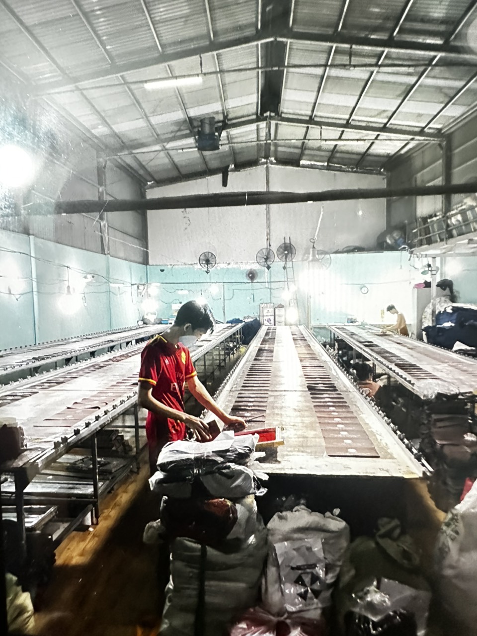 lĩnh vực hoạt động