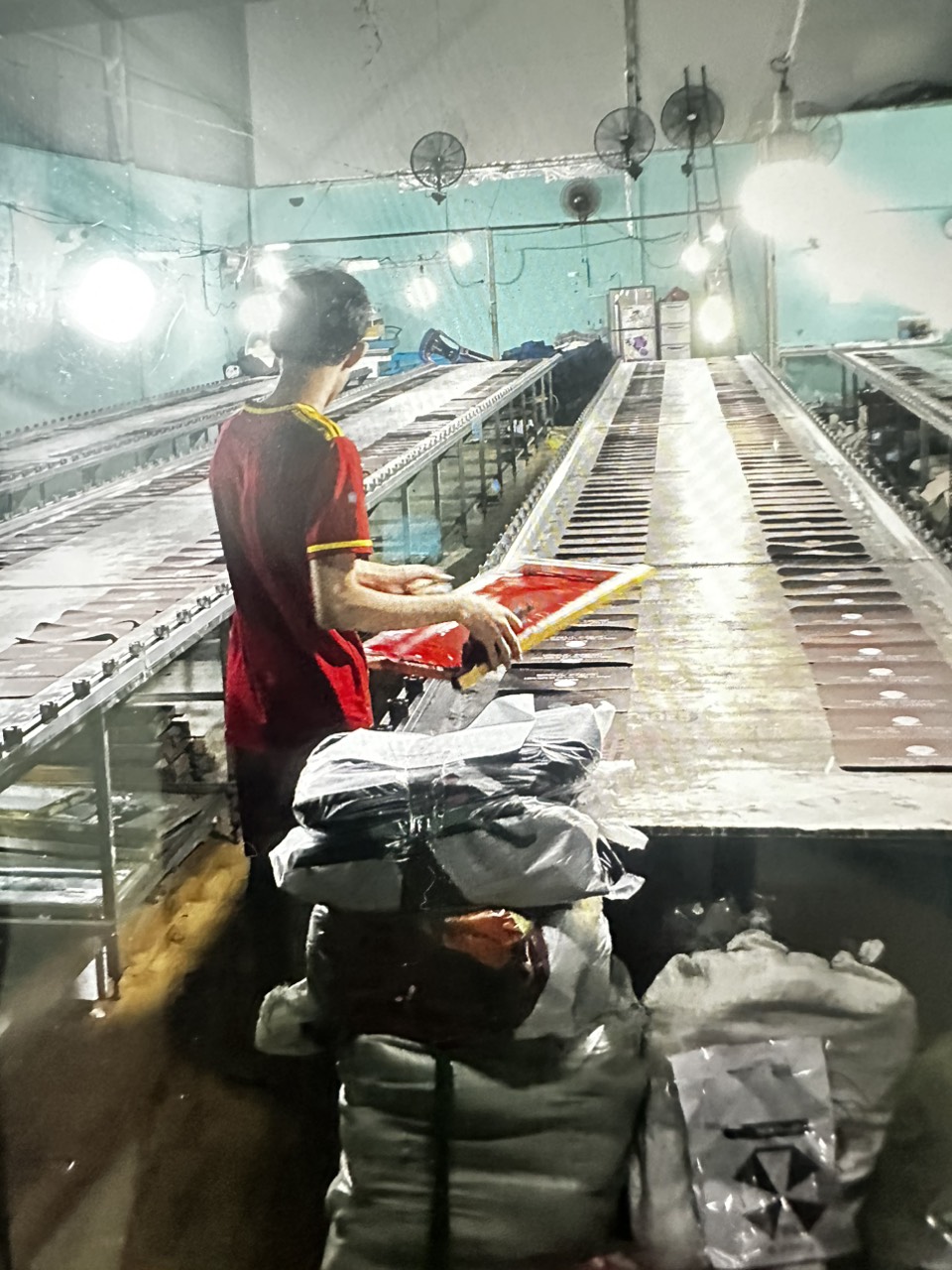 lĩnh vực hoạt động