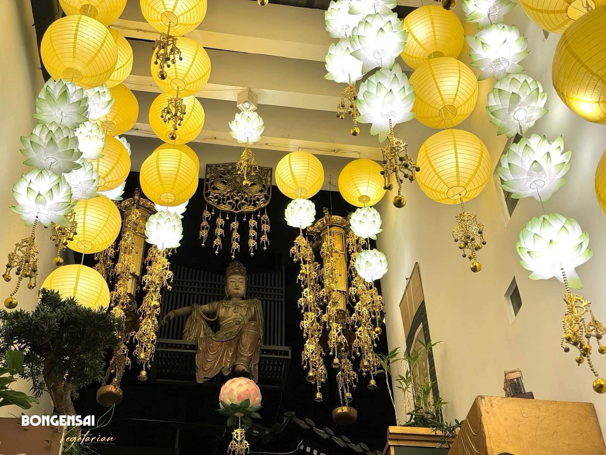 lĩnh vực hoạt động