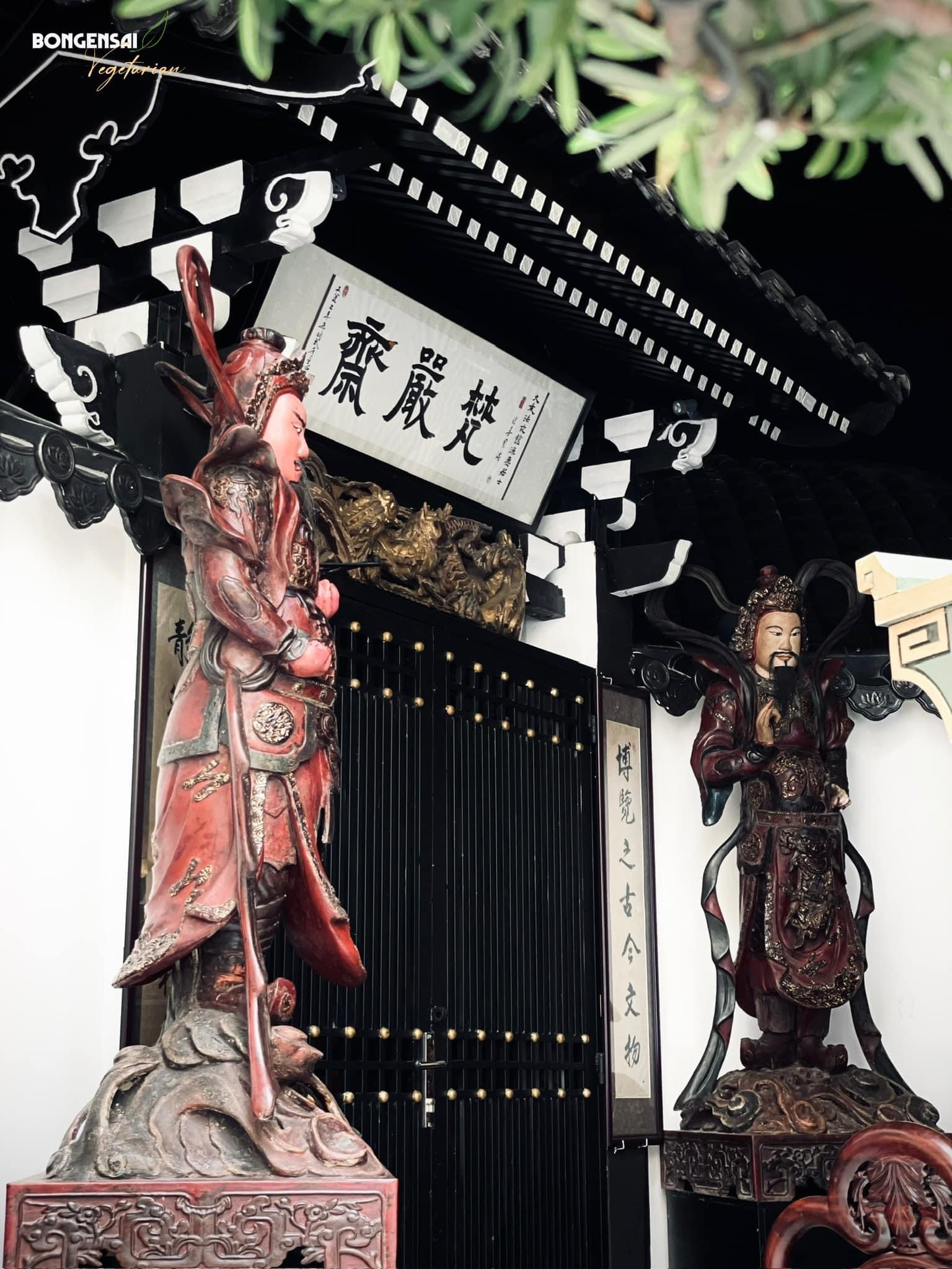 lĩnh vực hoạt động