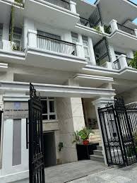 lĩnh vực hoạt động