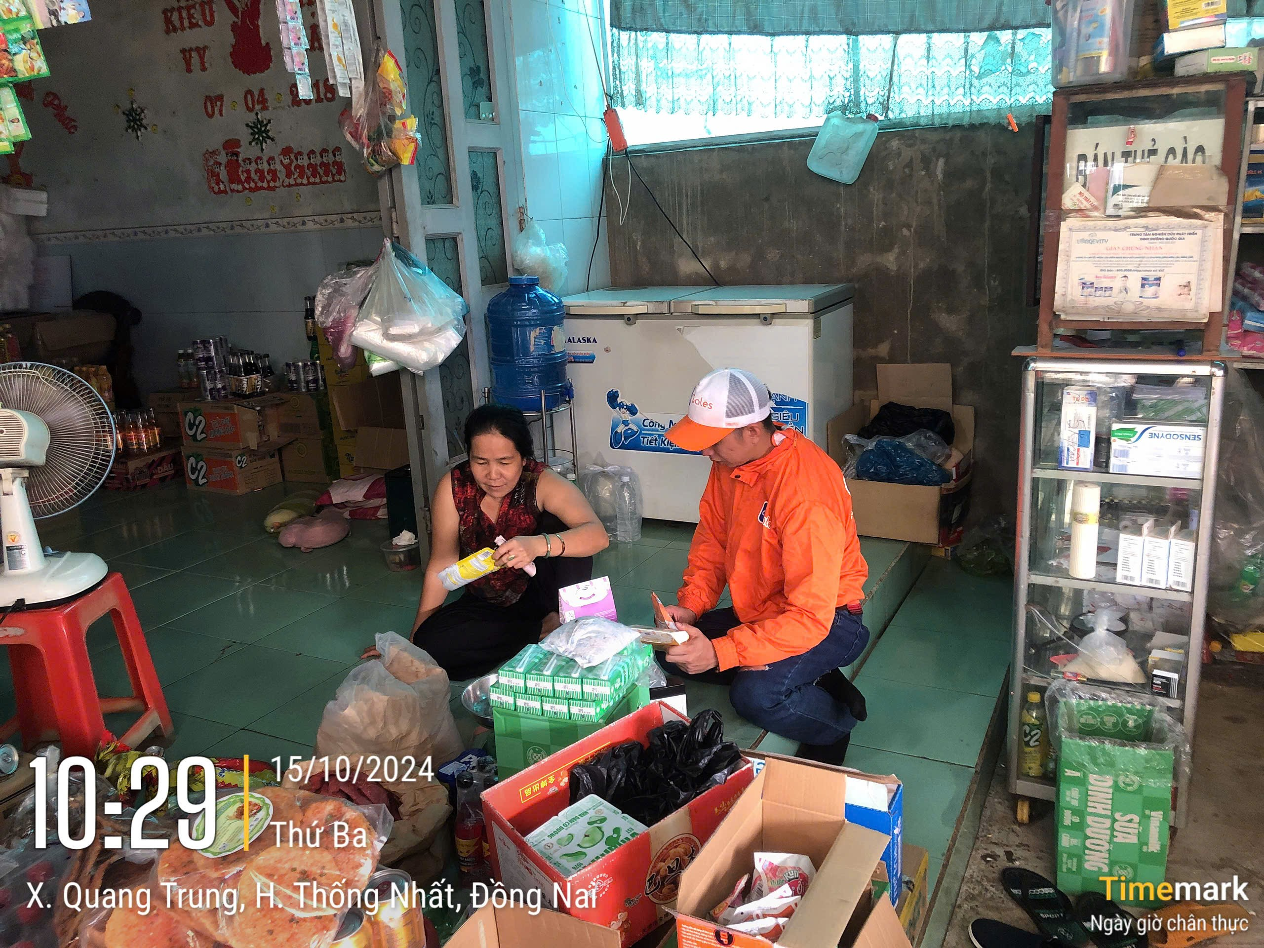 lĩnh vực hoạt động