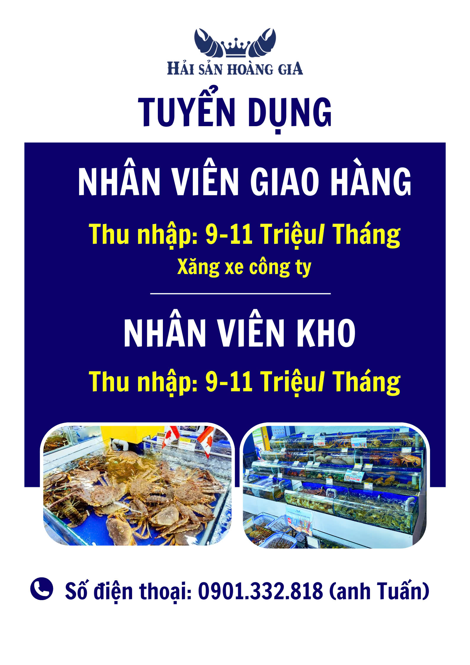 lĩnh vực hoạt động