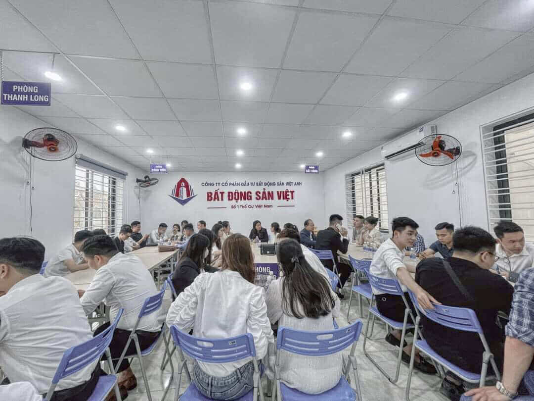 lĩnh vực hoạt động