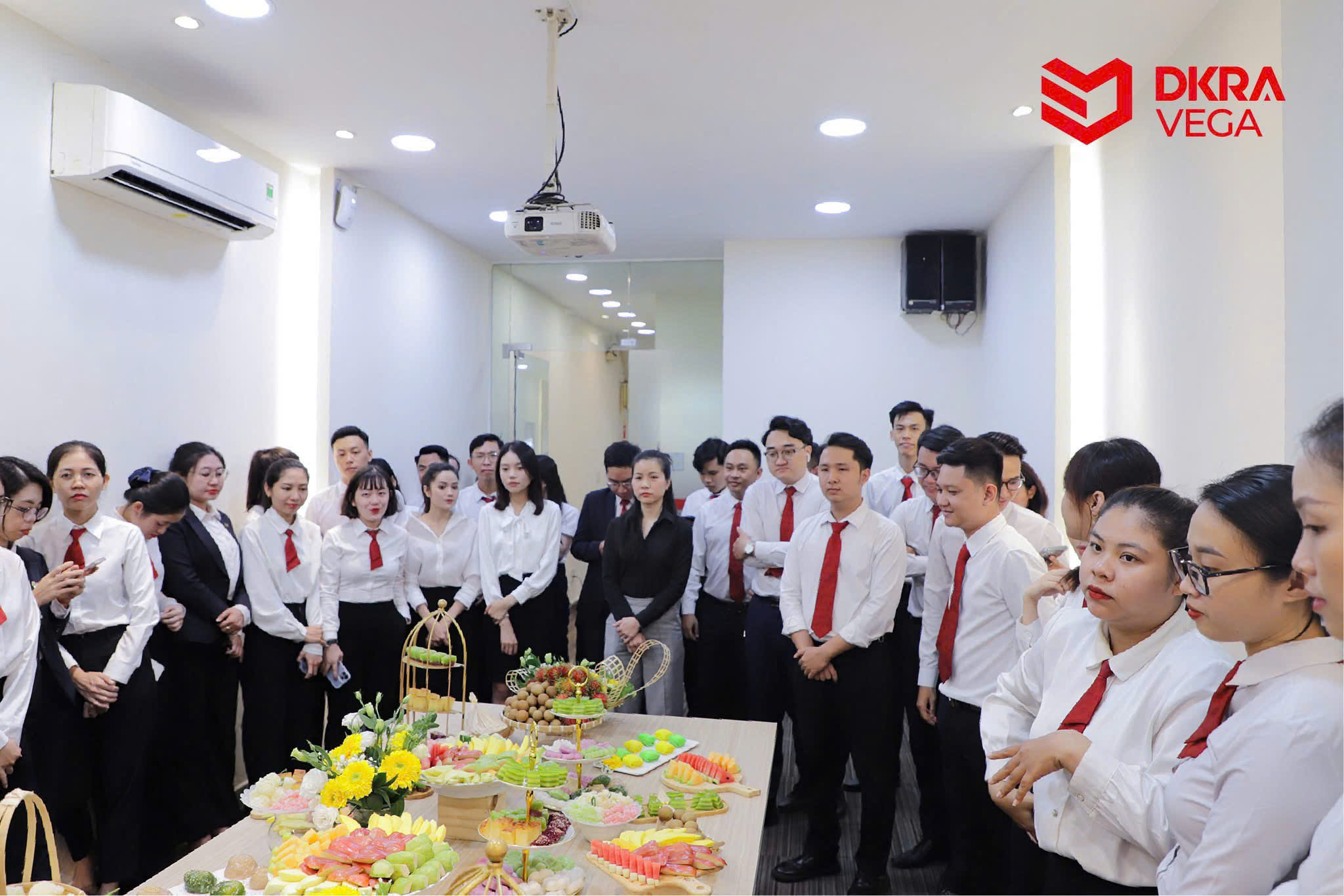 lĩnh vực hoạt động