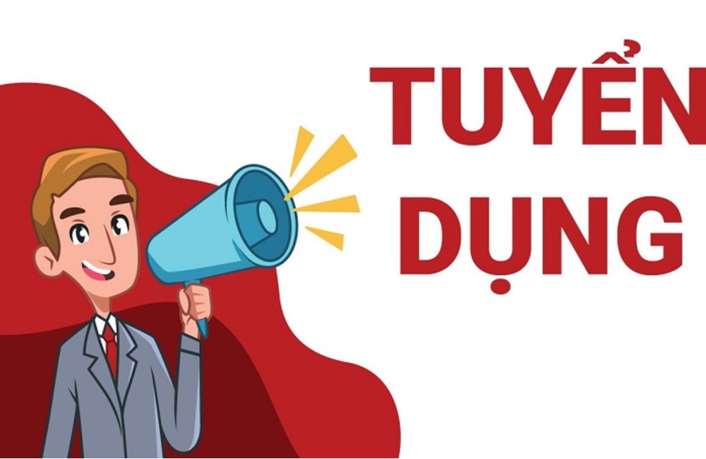 lĩnh vực hoạt động