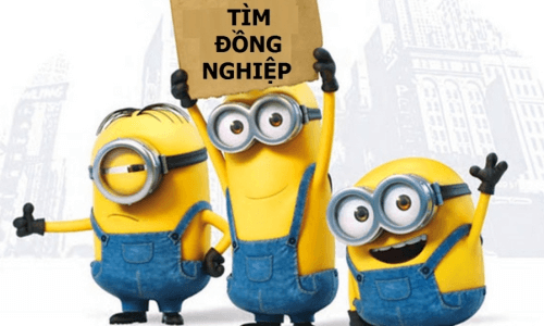 lĩnh vực hoạt động