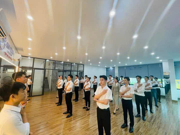 lĩnh vực hoạt động