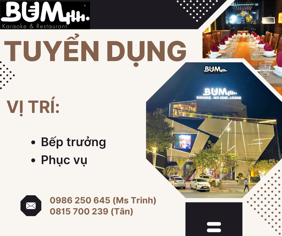 lĩnh vực hoạt động