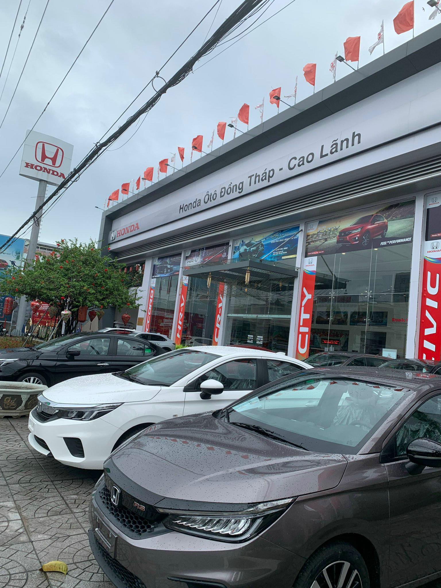 lĩnh vực hoạt động