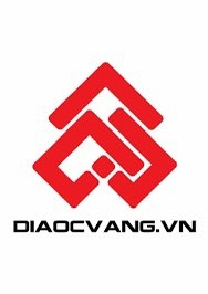 lĩnh vực hoạt động