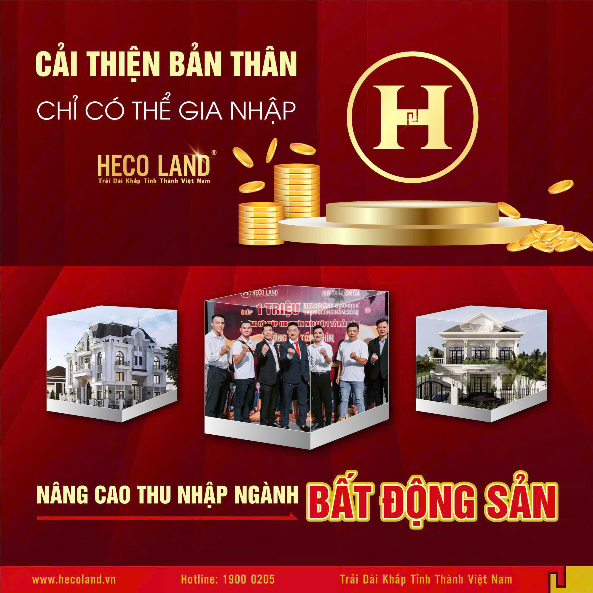 lĩnh vực hoạt động