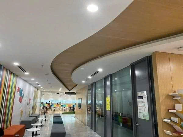 lĩnh vực hoạt động