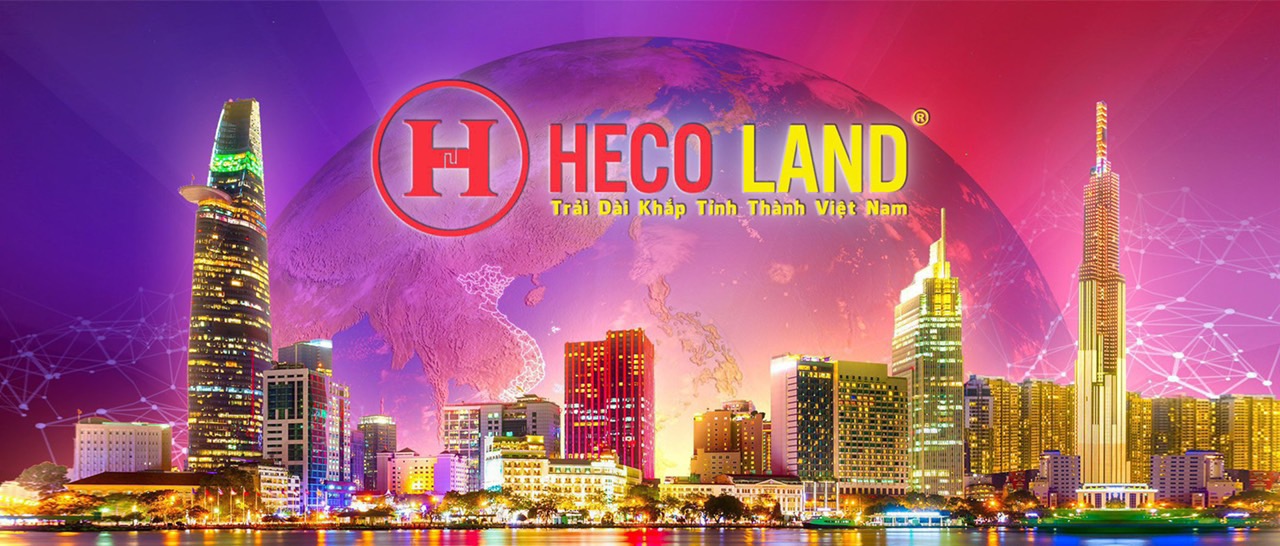 lĩnh vực hoạt động