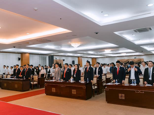 lĩnh vực hoạt động