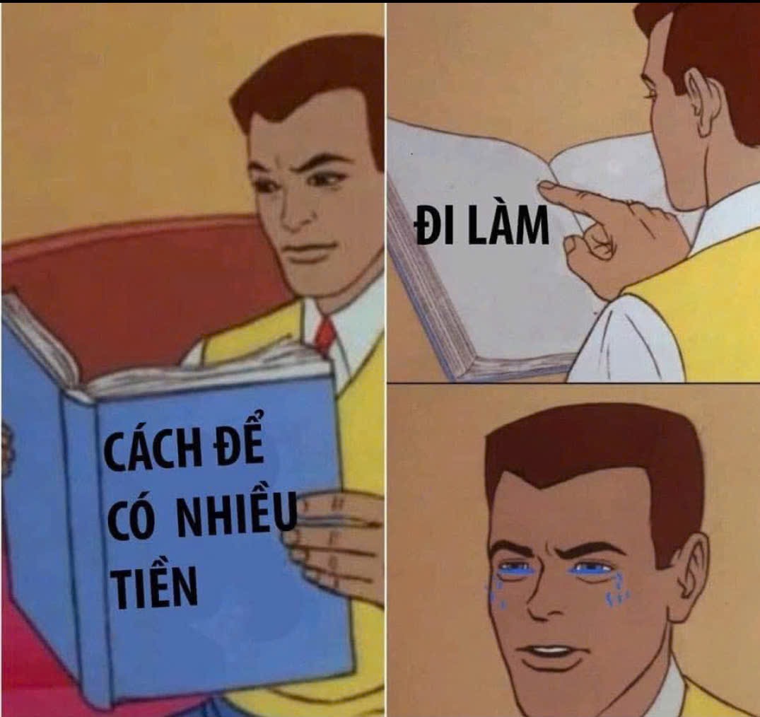 lĩnh vực hoạt động