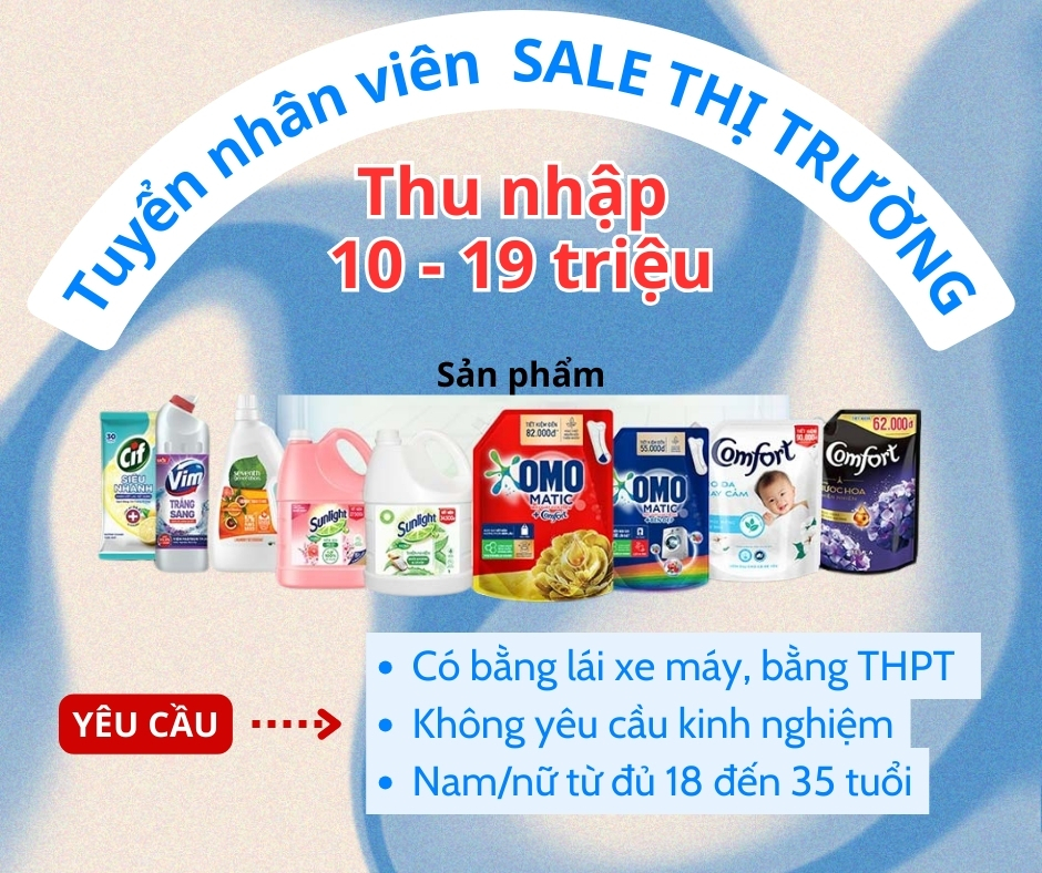 lĩnh vực hoạt động