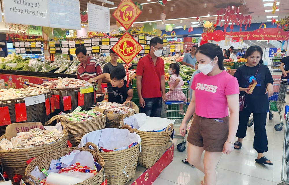 lĩnh vực hoạt động