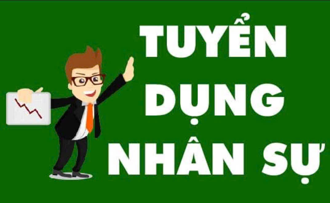 lĩnh vực hoạt động