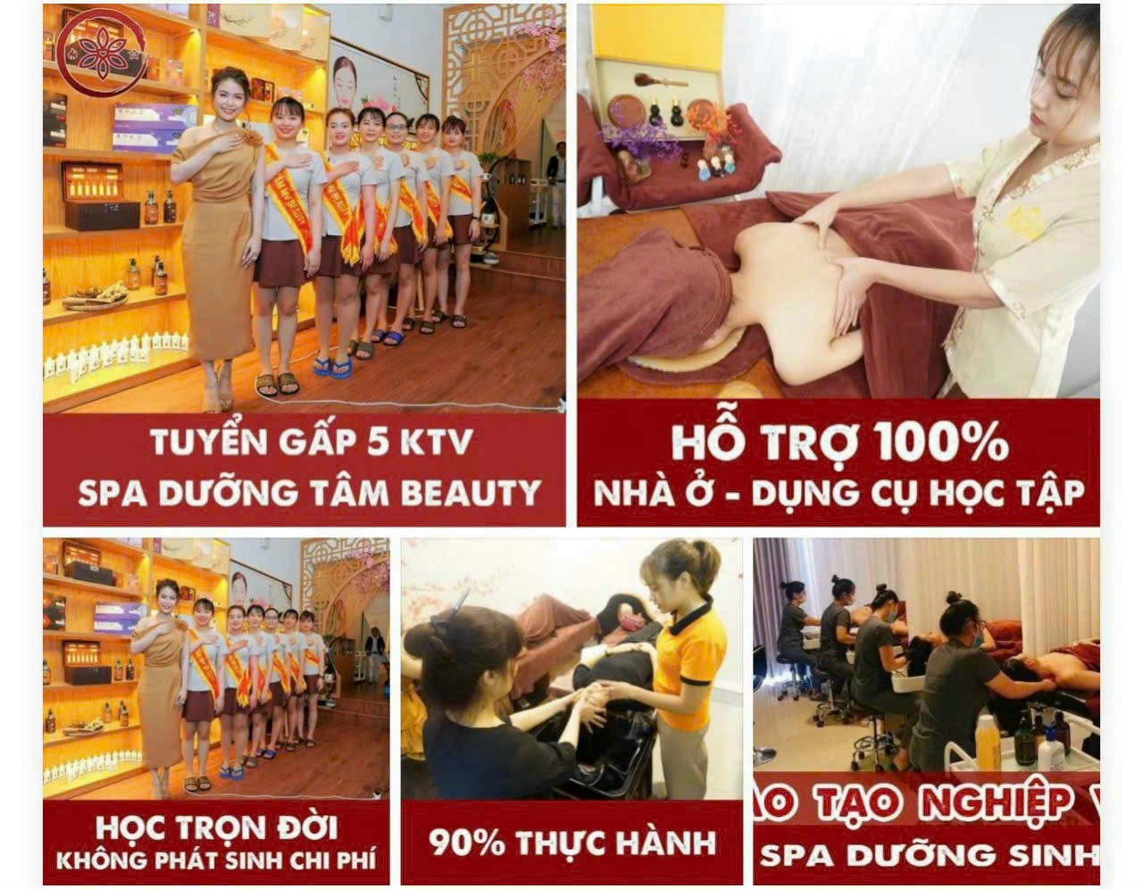 lĩnh vực hoạt động