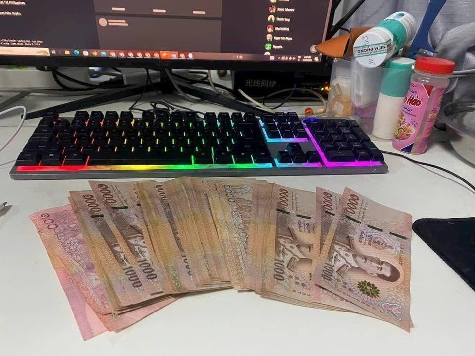 lĩnh vực hoạt động