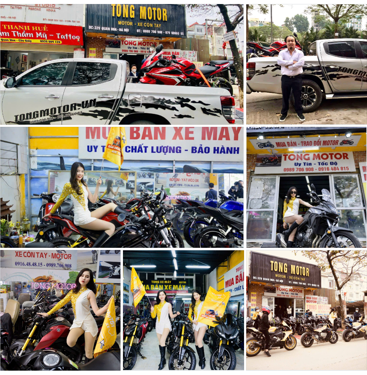 lĩnh vực hoạt động
