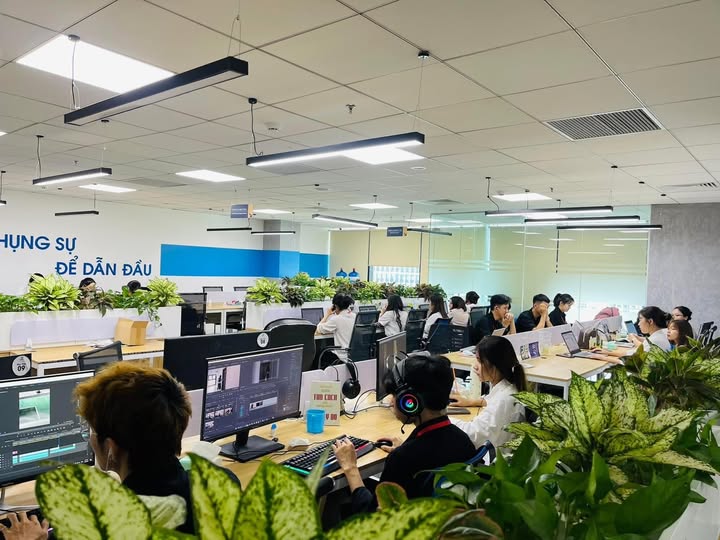 lĩnh vực hoạt động