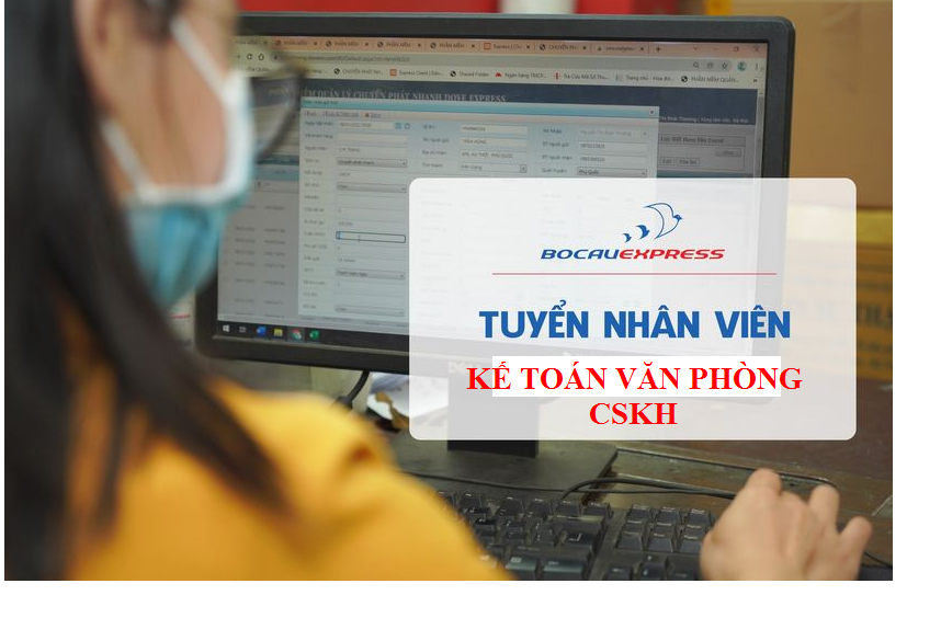 lĩnh vực hoạt động