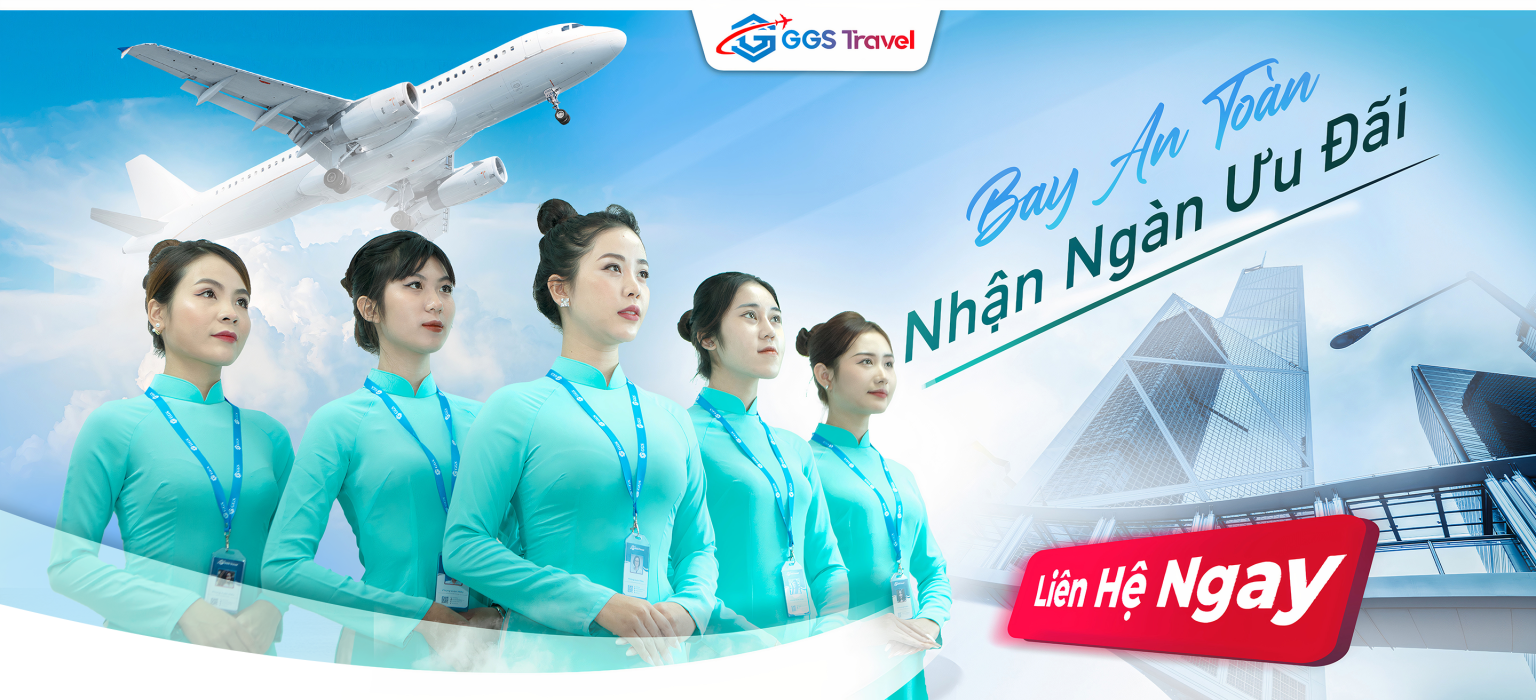 lĩnh vực hoạt động