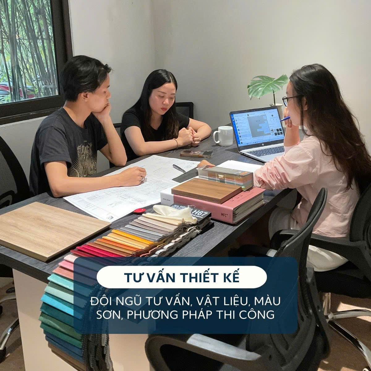 lĩnh vực hoạt động