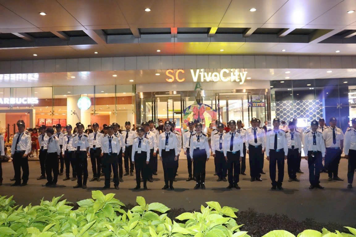 lĩnh vực hoạt động