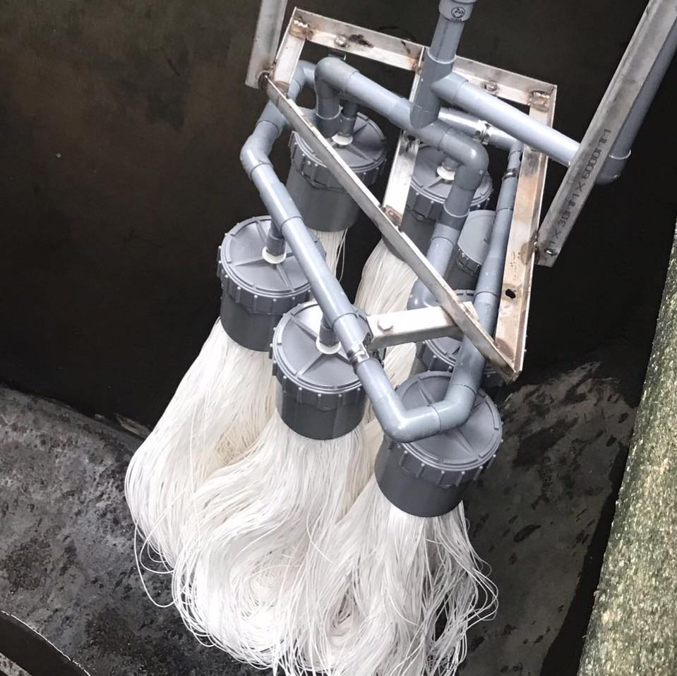 lĩnh vực hoạt động