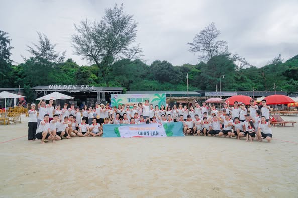 lĩnh vực hoạt động