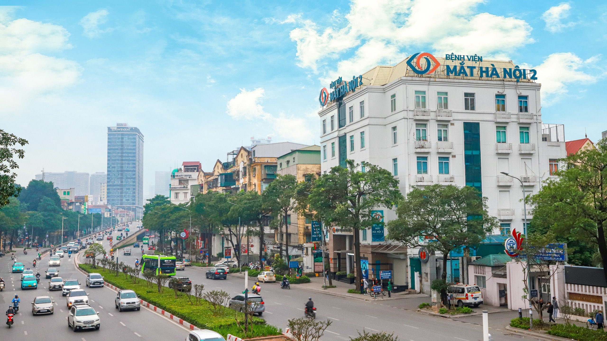 lĩnh vực hoạt động