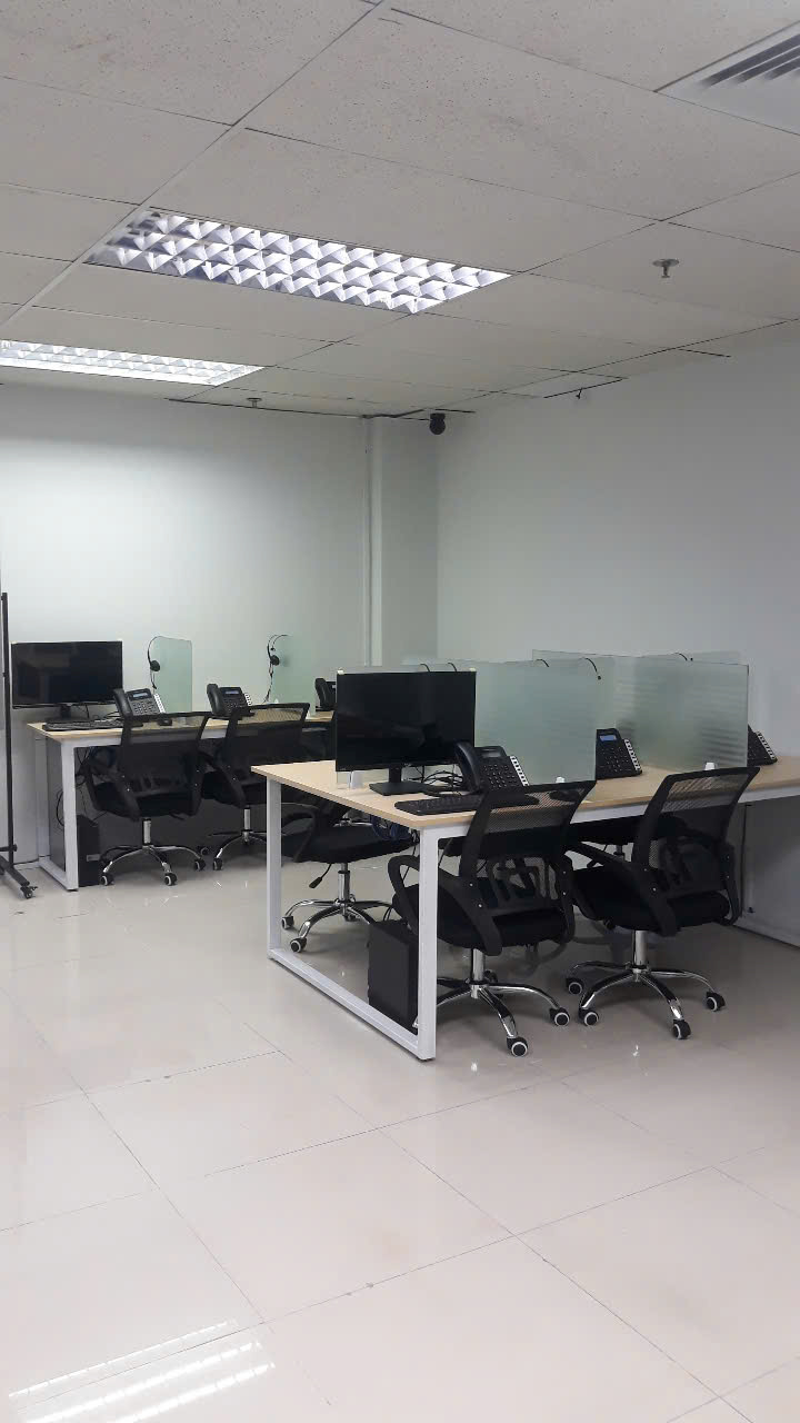 lĩnh vực hoạt động