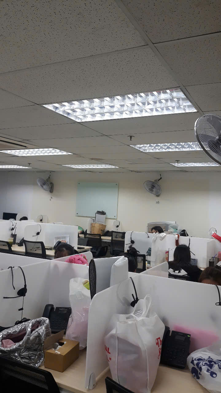 lĩnh vực hoạt động
