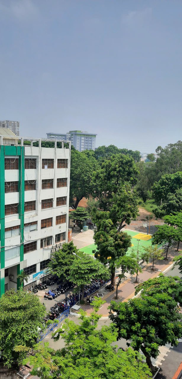 lĩnh vực hoạt động