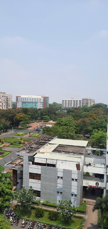 lĩnh vực hoạt động