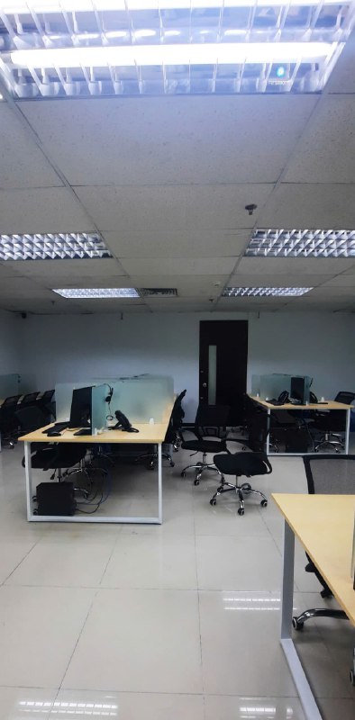 lĩnh vực hoạt động
