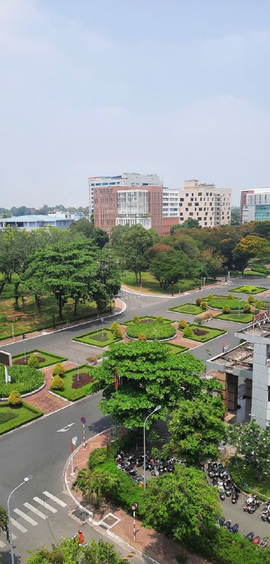 lĩnh vực hoạt động