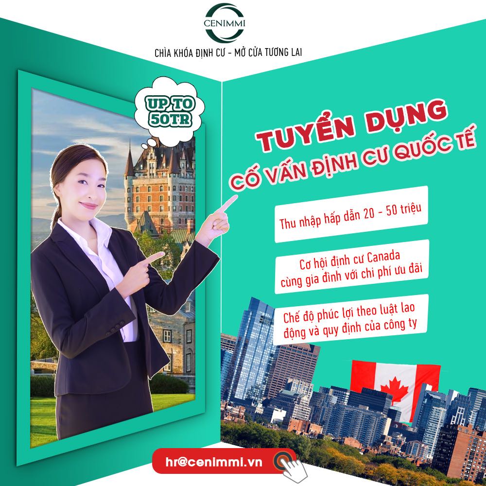 lĩnh vực hoạt động