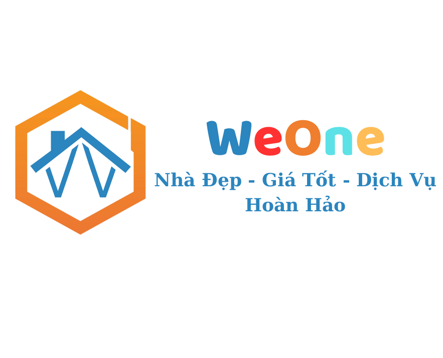 lĩnh vực hoạt động