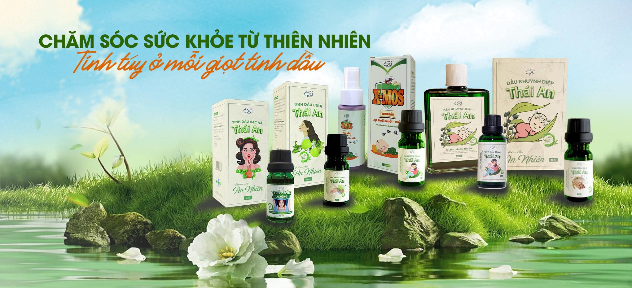 lĩnh vực hoạt động