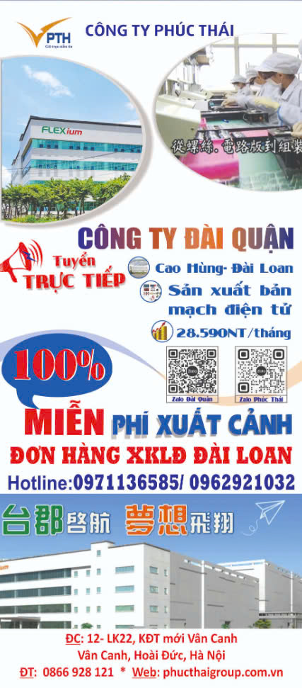 lĩnh vực hoạt động