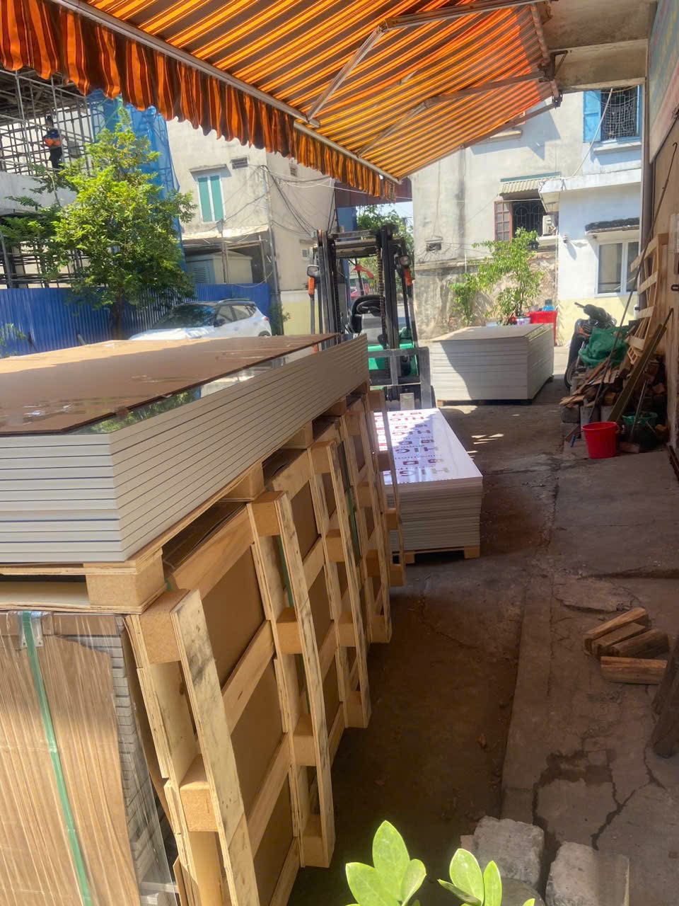 lĩnh vực hoạt động