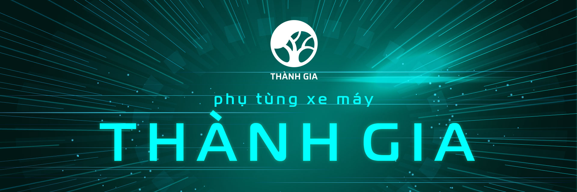 lĩnh vực hoạt động